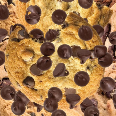 v1599210 prozis_freaking-good-plant-based-protein-33-lb_chocolate-chip_flavor_24.webp