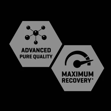 v1599598 prozis_bcaa-811-1lb-52-oz_5.webp