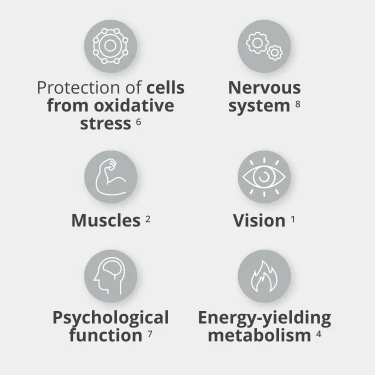 v1681649 prozis_multi-prz-200-caps_5.webp