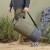 Army Amphibian Dry Bag - 40L Olive Green