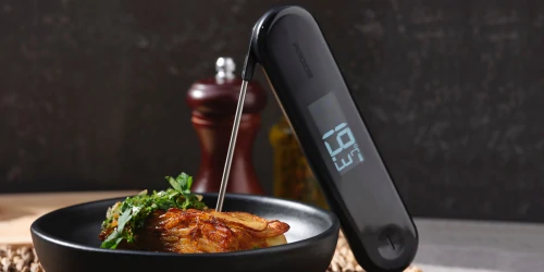 https://static.sscontent.com/thumb/500/250/products/124/v1239023_prozis_meat-thermometer-e683_single-size_no-code_foto_rect_h.webp