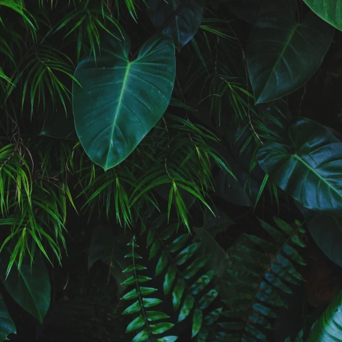 Condicionador Dermocalmante 360 ml (2)