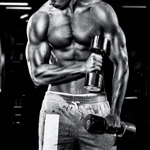 Bcaa bodybuilding shop
