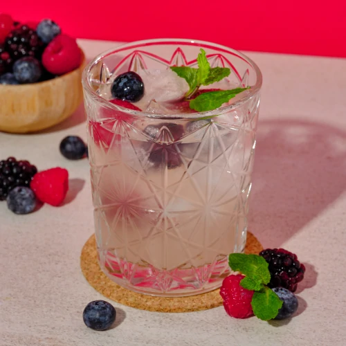 Protein Lemonade 500ml (3)