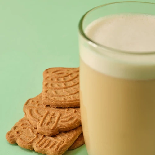 Shake Protéiné Keto 500 g (2)