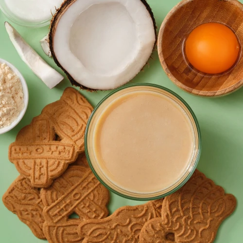 Shake Protéiné Keto 500 g (3)