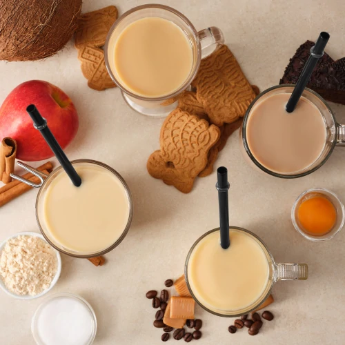 Shake Protéiné Keto 500 g (4)