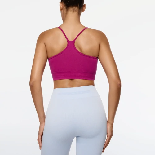 Alpine Sports Bra (2)