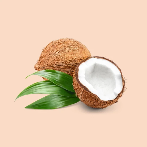 Coconut - Gommage Corporel 340 mL (2)