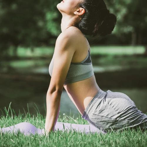 Extrait d'Artichaut 1350 mg 90 gélules (2)