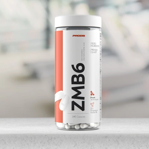 ZMB6 - Zinc + Magnesium + B6 - 240 caps (4)