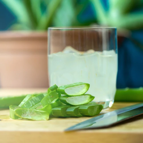 Aloe Vera 500 mL (2)