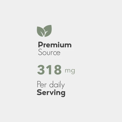 Saw Palmetto Extract 60 caps (4)