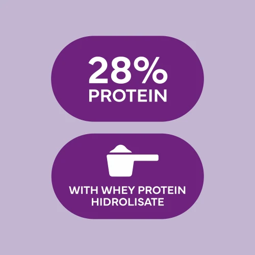 Protein Smoothie Bowl - Acai & Blueberry (4)