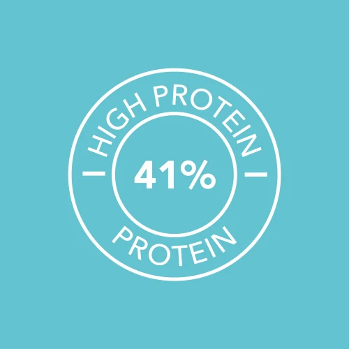 Meal Replacement 800g (3)