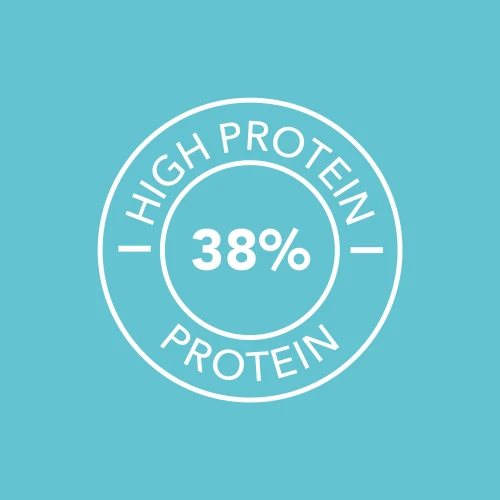 Sustituto de Comida 800 g (3)