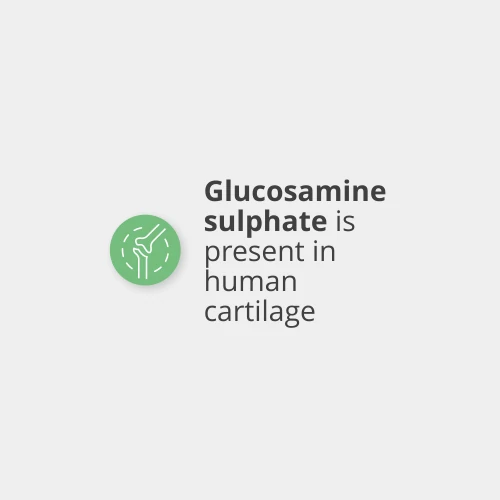 Sulfate de Glucosamine 150 g (3)