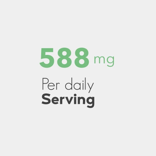 Sulfate de Glucosamine 150 g (4)