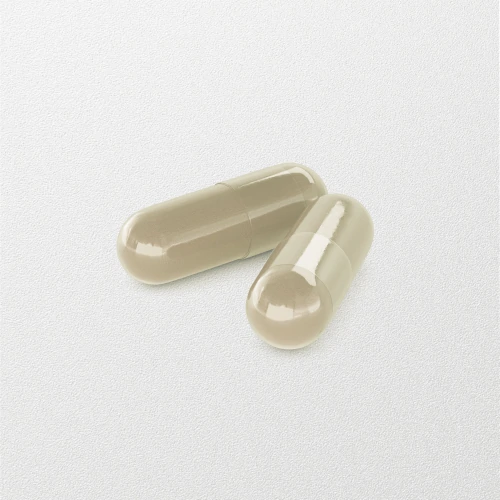 Nervous System 60 gélules (2)