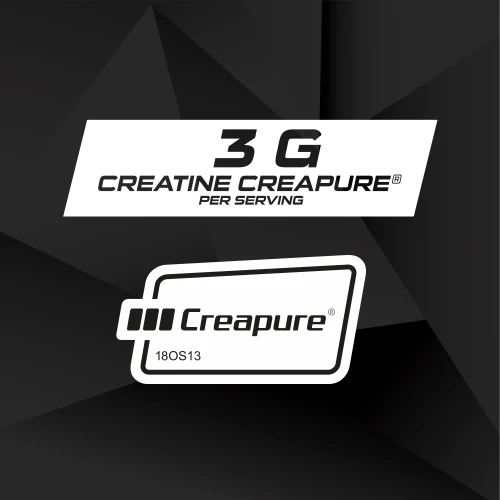 Creatine Creapure® Professional 150 g (3)