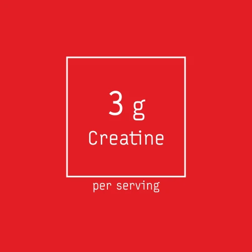 Zero Creatine 300 g (4)