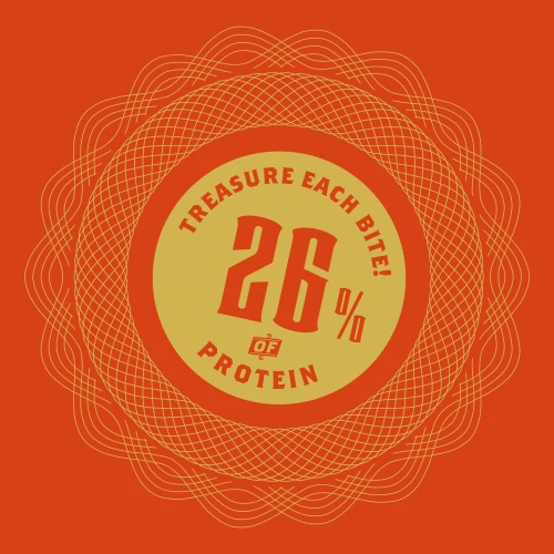 Billion Protein Peanut & Gold Chocolate Bar x 2 (4)