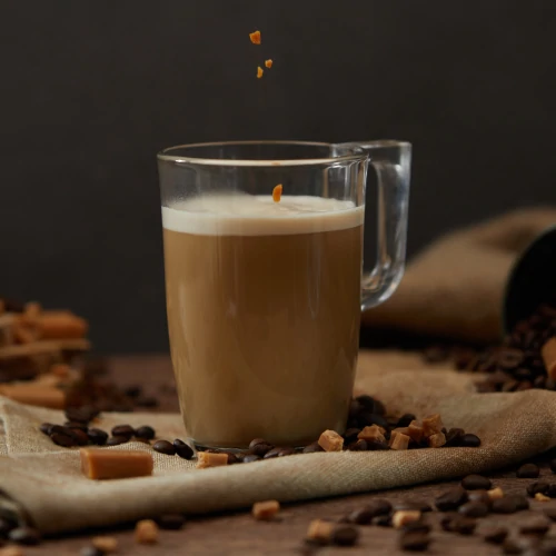 Protein Caramel Latte 14.1 oz (2)