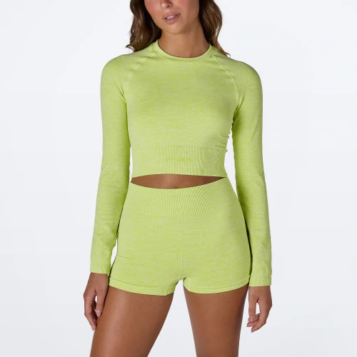 Alpine Langarm-Crop Top (3)