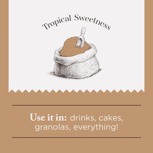 Açúcar de Palma de Coco 250 g (4)