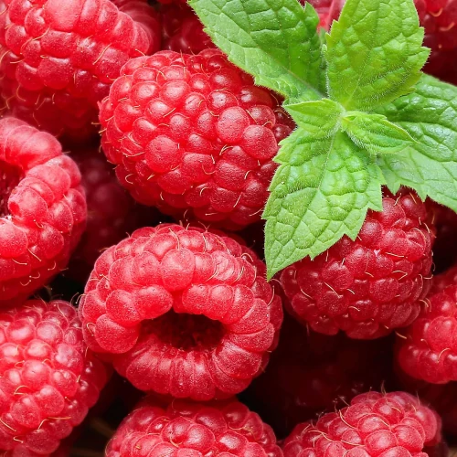 Whey Protein & Oats x 12 (2)