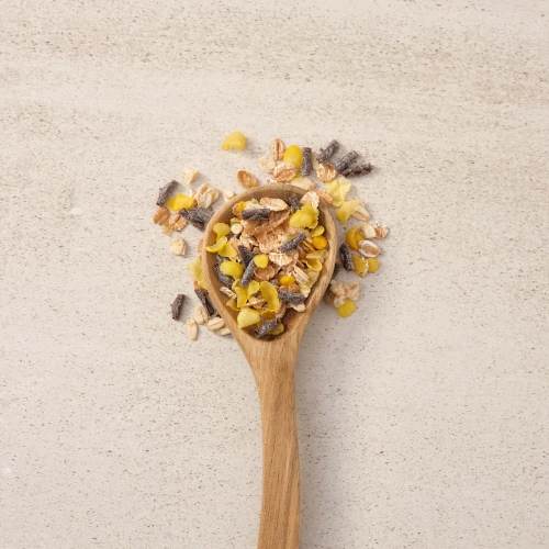 Magnificent Muesli - Chocolat Noir 350 g (2)