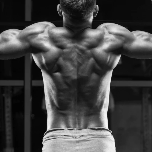 3 x Amino X RTD 500 mL (5)