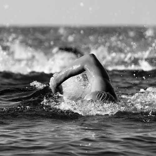 Prozis - Negozio Ufficiale | Exceed Yourself!