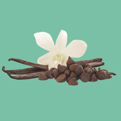 Protein Mug Cake - Vanille et Pépites de Chocolat 400 g (2)