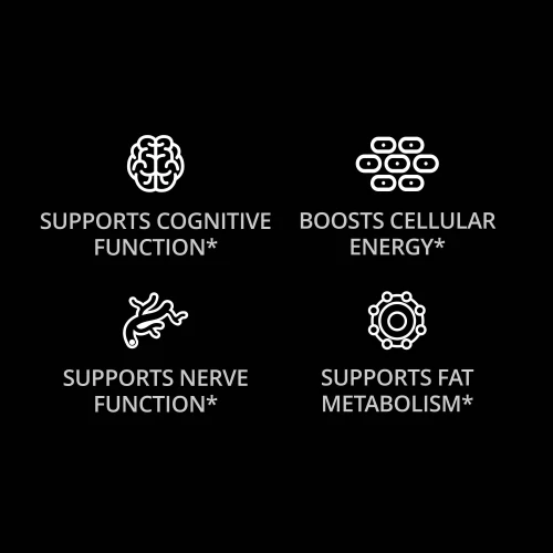 Acetyl L-Carnitine 90 capsules (4)