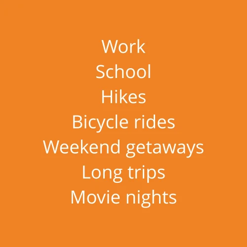 Bagas de Goji 200 g (10)