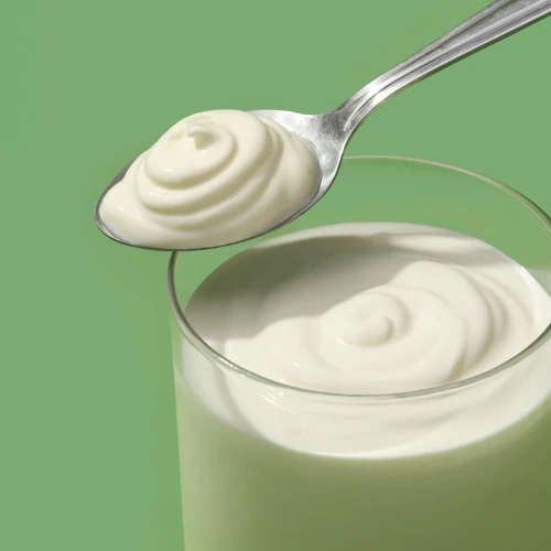 Probiotic Yogurt Starter Mix - 8 sticks (2)