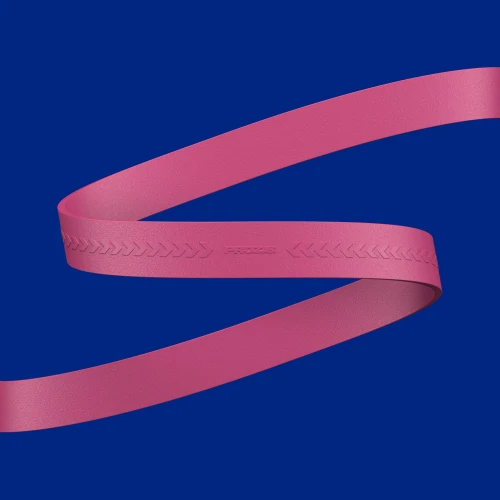 Bande de Résistance Élastique - Forte (2)