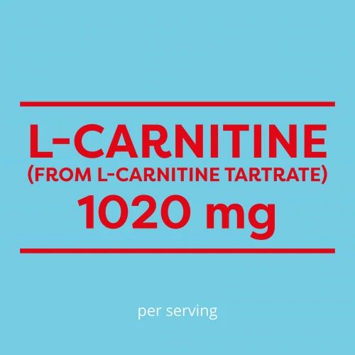 L-Carnitine 1020mg 240capsules (4)