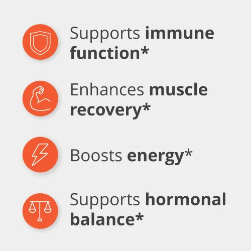 ZMB6 - Zinc + Magnesium + B6 240 capsules (4)