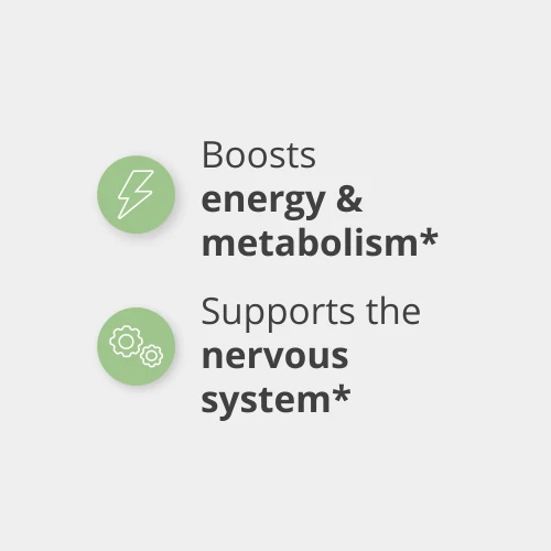 Vitamin B12 100 mcg 120 tablets (4)