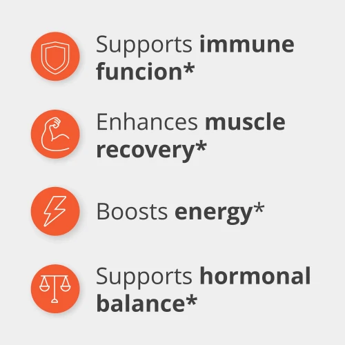 ZMB6 - Zinc + Magnesium + B6 120 capsules (4)