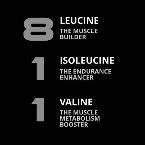 BCAA 8:1:1 - 21.2 oz (4)