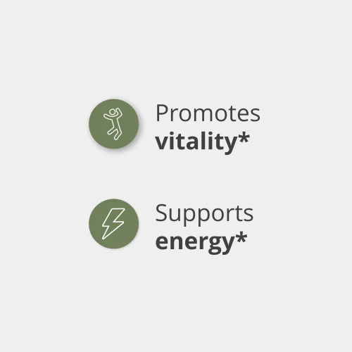 Gotu Kola (Centella asiatica) 900 mg 90 capsules (4)