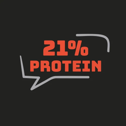 Waffle proteici (6 pz.) - Cioccolato (4)