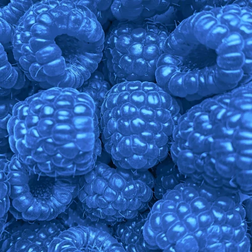 Extreme Big Shot - Pre-Workout 20 servings (2)