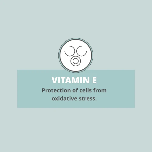 Hyaluronic Acid Plus - 60 capsules (9)