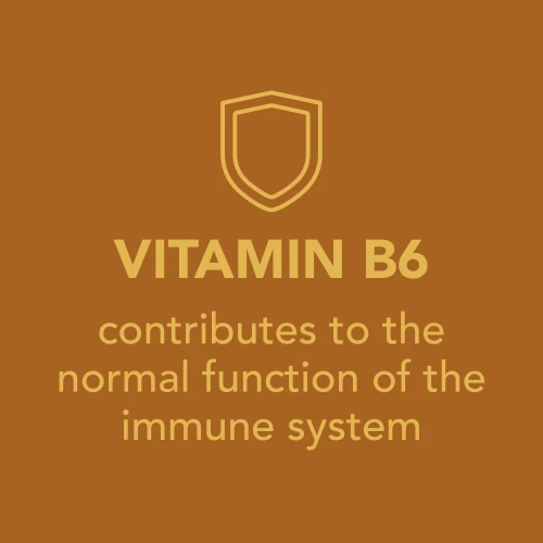 H2O Burn - 8 sticks (8)