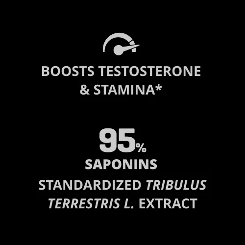 Anatest 60 tablets (4)