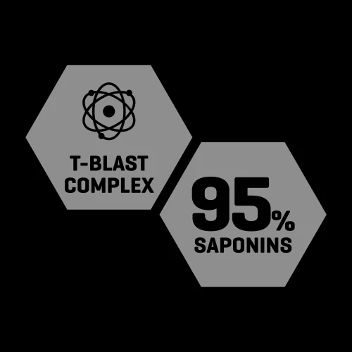 Anatest 60 tablets (7)